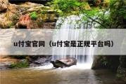 u付宝官网（u付宝是正规平台吗）