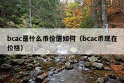 bcac是什么币价值如何（bcac币现在价格）