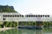 互联网创业项目平台（互联网创业项目平台加盟）