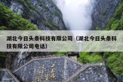 湖北今日头条科技有限公司（湖北今日头条科技有限公司电话）
