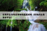 任务平台发布任务赚钱是真的吗（好用的任务发布平台）
