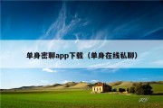 单身密聊app下载（单身在线私聊）