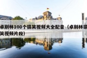 卓别林100个搞笑视频大全配音（卓别林搞笑视频片段）