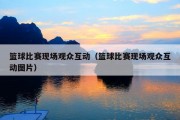 篮球比赛现场观众互动（篮球比赛现场观众互动图片）
