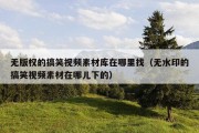 无版权的搞笑视频素材库在哪里找（无水印的搞笑视频素材在哪儿下的）