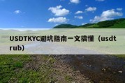 USDTKYC避坑指南一文搞懂（usdtrub）
