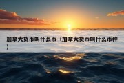 加拿大货币叫什么币（加拿大货币叫什么币种）
