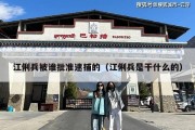 江俐兵被谁批准逮捕的（江俐兵是干什么的）