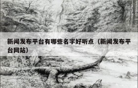 新闻发布平台有哪些名字好听点（新闻发布平台网站）