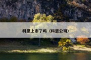 科恩上市了吗（科恩公司）
