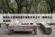 爆笑办公室辣条是不是喜欢羊公子（爆笑办公室成员）