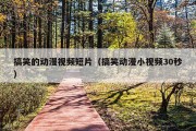 搞笑的动漫视频短片（搞笑动漫小视频30秒）