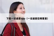 下载一证通查app（一证通查在哪里查）