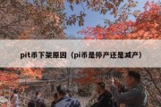 pit币下架原因（pi币是停产还是减产）