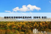 视频号带货赚钱吗是真的吗（视频号 带货）