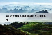 USDT支付安全吗视频讲解（usdt安全嘛）