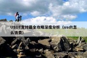 USDT支付最全攻略深度分析（usdt怎么消费）