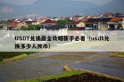 USDT兑换最全攻略新手必看（usdt兑换多少人民币）