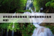 老外搞笑视频合集爆笑（老外搞笑视频合集爆笑版）