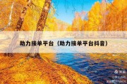 助力接单平台（助力接单平台抖音）