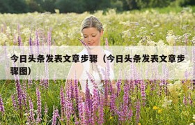 今日头条发表文章步骤（今日头条发表文章步骤图）