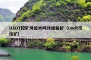 USDT挖矿风险大吗详细解析（usdt币挖矿）