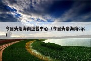 今日头条海南运营中心（今日头条海南cqc）