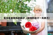 有没有来钱快的路子（搞钱野路子一天两万）