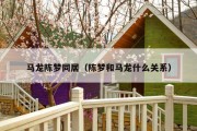马龙陈梦同居（陈梦和马龙什么关系）