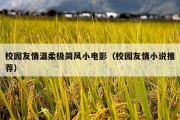校园友情温柔极简风小电影（校园友情小说推荐）