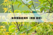 体育搜狐亚洲杯（搜狐 亚冠）