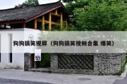 狗狗搞笑视屏（狗狗搞笑视频合集 爆笑）