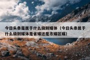 今日头条是属于什么级别媒体（今日头条属于什么级别媒体是省媒还是市媒区媒）