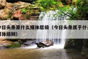 今日头条算什么媒体层级（今日头条属于什么媒体级别）