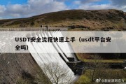 USDT安全流程快速上手（usdt平台安全吗）
