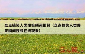 盘点搞笑人类爆笑瞬间视频（盘点搞笑人类爆笑瞬间视频在线观看）