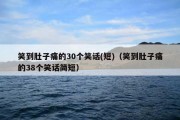 笑到肚子痛的30个笑话(短)（笑到肚子痛的38个笑话简短）