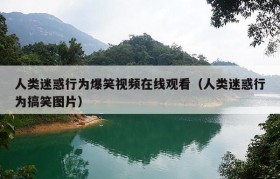 人类迷惑行为爆笑视频在线观看（人类迷惑行为搞笑图片）