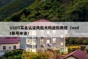 USDT实名认证风险大吗进阶教程（usdt账号申请）