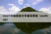 USDT价格经验分享图文教程（usdtrub）