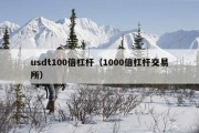 usdt100倍杠杆（1000倍杠杆交易所）