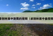 卓别林雨中跳舞的视频（卓别林雨中曲视频）