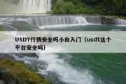 USDT行情安全吗小白入门（usdt这个平台安全吗）