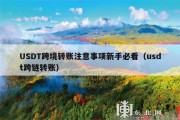 USDT跨境转账注意事项新手必看（usdt跨链转账）