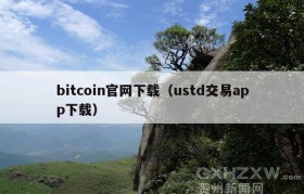 bitcoin官网下载（ustd交易app下载）