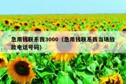 急用钱联系我3000（急用钱联系我当场放款电话号码）