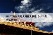 USDT支付风险大吗图文教程（usdt有什么风险）