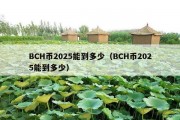 BCH币2025能到多少（BCH币2025能到多少）