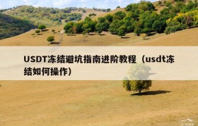 USDT冻结避坑指南进阶教程（usdt冻结如何操作）