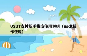 USDT支付新手指南使用说明（usdt操作流程）